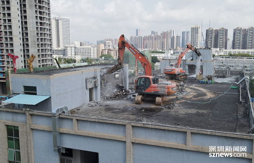 马田街道纯景路项目土地整备工作圆满完成，4897平方米建筑物移交并启动拆除